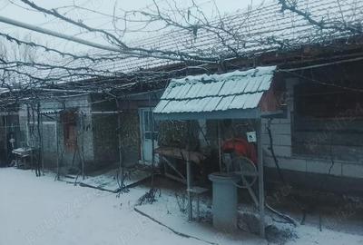 Casă cu Teren 1100 Mp în Breasta - 4
