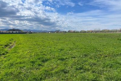 Teren de 3600 mp, în Vicovu de Sus - 2