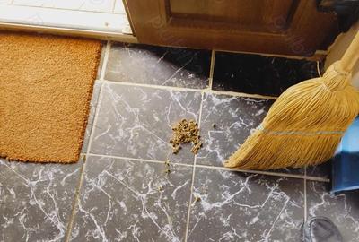 Casă cu 6 camere cu Teren 2900 Mp în Gurbediu - 3