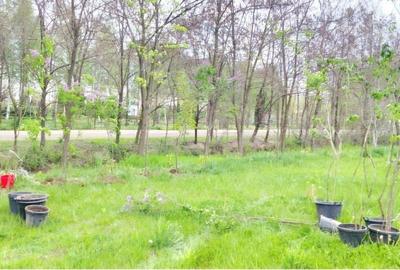 Spațiu comercial, în Joița - 12