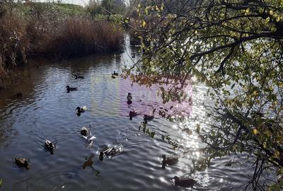 Apartament 4 Camere Constanța Tomis Nord - 28