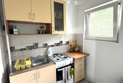 Garsonieră în Decebal - 1