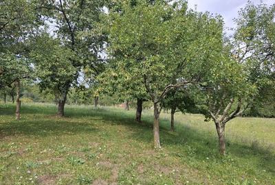 Spațiu comercial, în Feleacu - 4