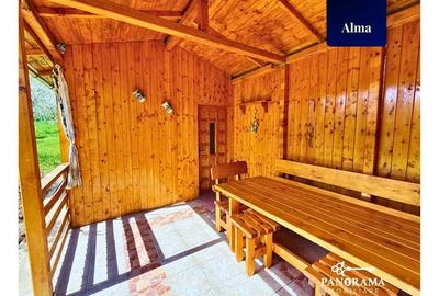 Teren agricol intravilan de 725 mp, în Alma - 10