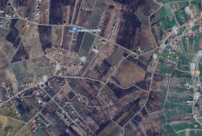 Loc de casa Teren intravilan - 800 mp. - IMOBIHOR - 2