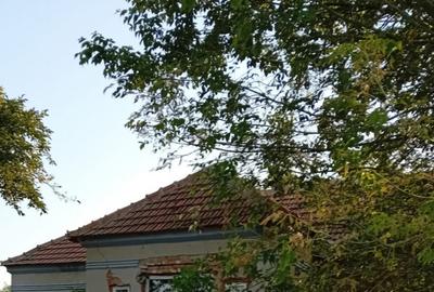 Casa P, 96 mp, teren 1948, Silistea Crucii - 8