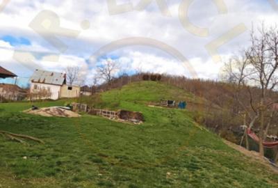 Teren de 1665 mp, în Făgetu - 6