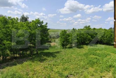 Casa spatioasa la rosu, 2024, 2800 mp teren, zona Andrieseni - 9