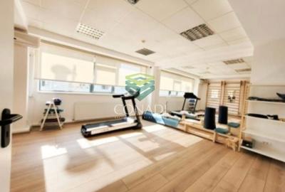 Birou, de 180 mp, în Herăstrău - 2