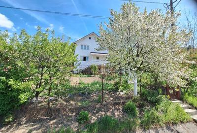 Casă cu 4 camere în Bejan - 3