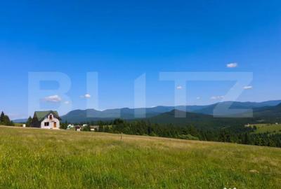 Teren de 2817 mp, în Piatra - 4