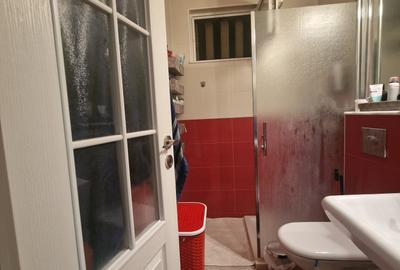 Apartament cu 2 camere circular, mobilat în Central - 19