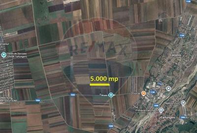 Teren Extravilan 5.000 mp Tarlungeni / Strada Zizinului - 2