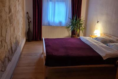 Casă cu 6 camere cu Teren 1000 Mp în Marga - 9