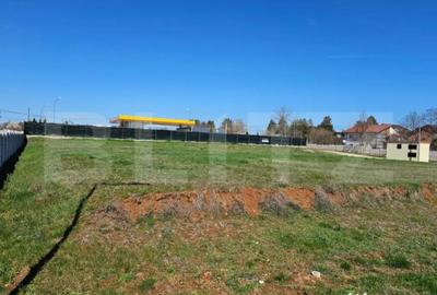 Teren de 1926 mp, în Priseaca - 7