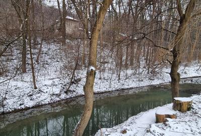 Hemeius- Teren cu deschidere la padure si lac. Cu salcie la mal! - 1