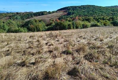 Teren de 35400 mp, în Balta - 9