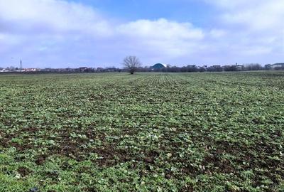 Buftea- Cartier Tineretului-  Magnoliei - 5