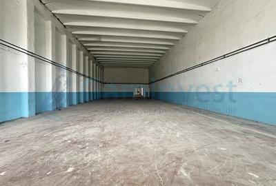 Spațiu industrial, de 360 mp, în Nufărul - 1