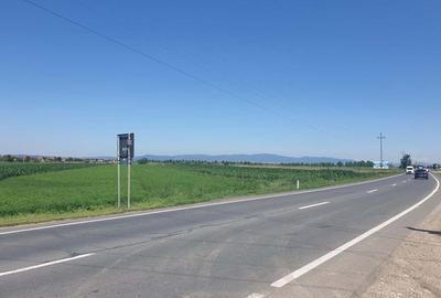 Teren de 5000 mp, în Stupini - 6