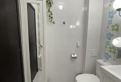 Apartament 3 camere Theodor Pallady - 8