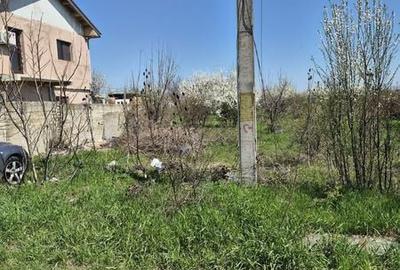Teren de 250 mp, în Mogoșoaia - 7