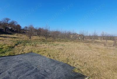 Teren de 3000 mp, în Boju - 3