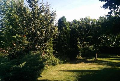 Casă cu 4 camere cu Teren 540 Mp în Central - 7