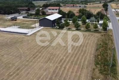 Teren în Crânguri - 5