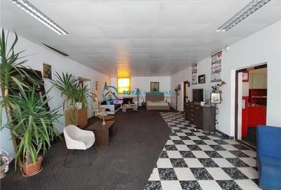 Royal Imobiliare - Vanzare Spatiu Industrial zona Exterior Est - 15
