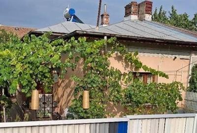 Vanzare casa Jiului - 1