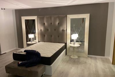 Casă individuală cu 5 camere cu Canalizare în Cetate - 3