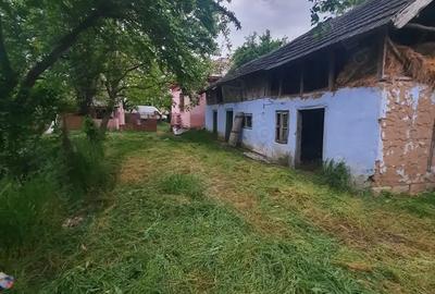 Casă cu 3 camere în Valea Stanciului - 6