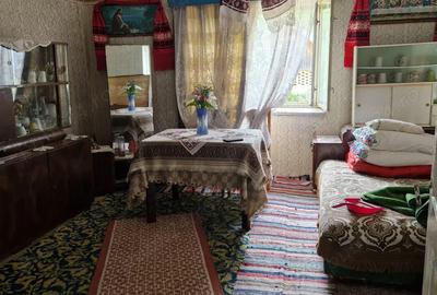 Casa la tara in Beudiu, comuna Nu?eni + extra teren arabil si fanate negociabil - 5