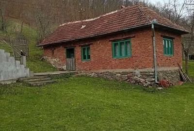 Casă cu 4 camere cu Teren 3990 Mp în Densuș - 3