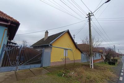 Casă individuală cu 2 camere cu Canalizare în Central - 3