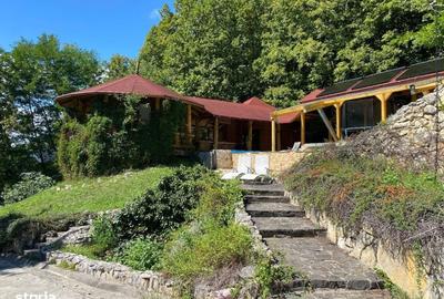 Casă cu 6 camere cu Teren 17000 Mp în Dumbrăvița - 1