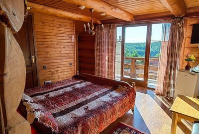 RATE Pensiune SUPERBA*** 12 cam piscina pe mal Lac Mocearu  Mtii. Buzaului - 10