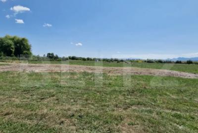 Teren de 6300 mp, în Hălchiu - 2