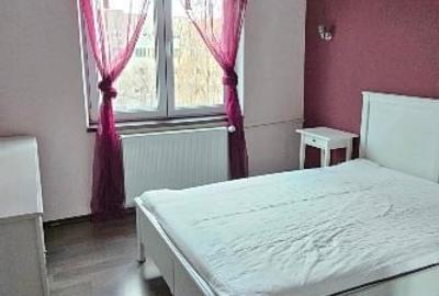 Apartament cu 2 camere decomandat, mobilat în Dristor - 9