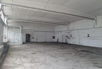Spațiu comercial, de 500 mp, în Theodor Pallady - 7