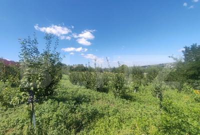 Casu?a tip foi?or, 30 mp, pe un teren de 3.000 mp, veder - 5