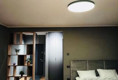 Garsonieră decomandată, mobilată în Dumbrăvița - 3