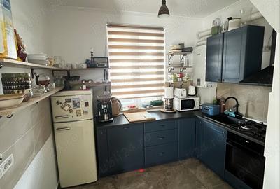 Casa Triplex Dumbravita langa Padure - 2