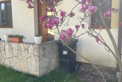 Casă cu 1 camere în Braytim - 8