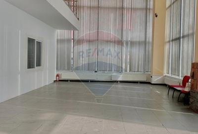 Hala de inchiriat cu birouri in zona Micalaca - 9