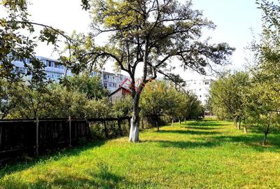 Casă individuală cu 2 camere cu Canalizare în Ultracentral - 7
