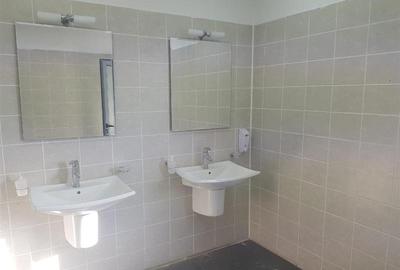 Spațiu industrial, de 2,750 mp, în Chiajna - 14