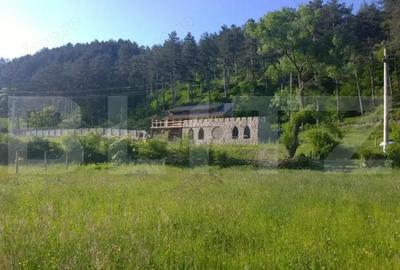 Casa individuala la rosu, 247 mp, teren 5000 mp in Surduc