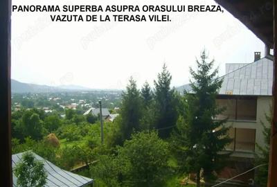 Casă cu 8 camere cu Teren 3659 Mp în Gura Beliei - 3